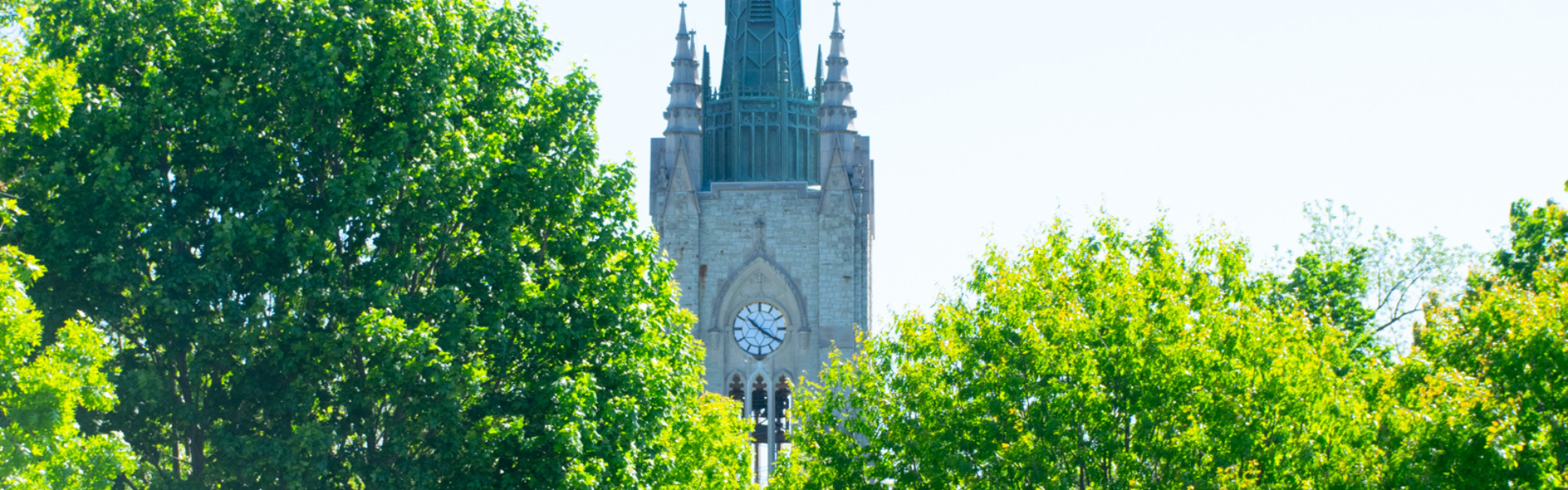 A picture of Middlesex tower surrounded by trees on a sunny day.